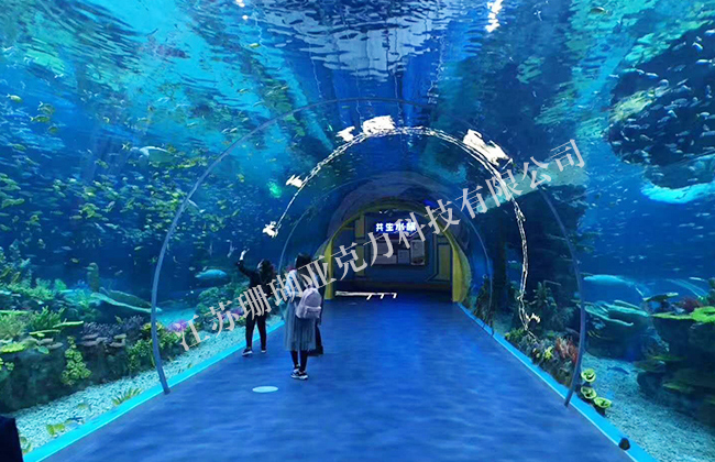 Aquarium large fish tank