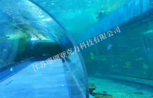 Curved sea bottom fish tank