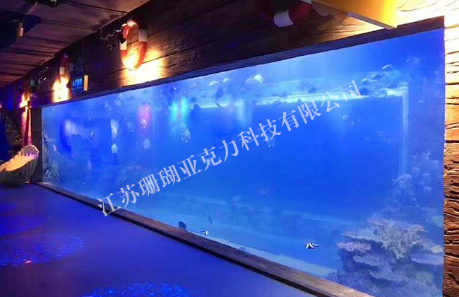 Rectangular fish tank