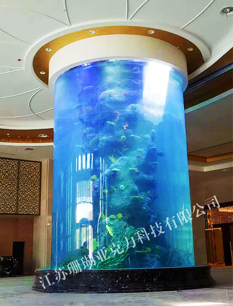 Large round jellyfish cylinder