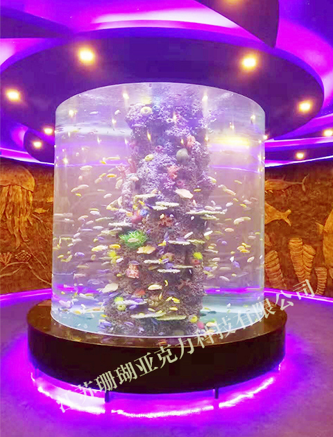 Acrylic round jellyfish cylinder